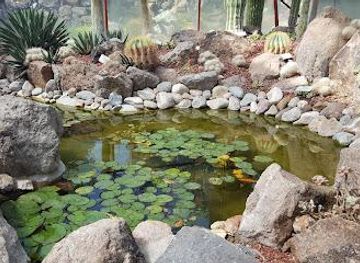 mexico/san-miguel-de-allende/attraction/charco-del-ingenio