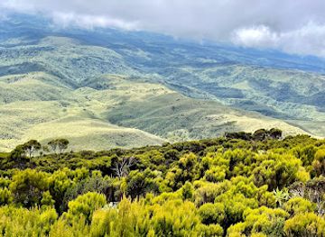 kenya/aberdare-national-park/attraction/elephant-hill-hiking-trail-aberdare-njabini-kenya