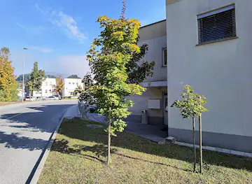 Spominska drevesa
