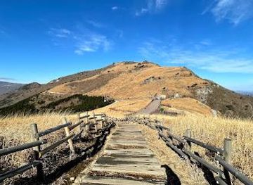 south-korea/gyeongju/attraction/ganwoljae-flame-grass-road