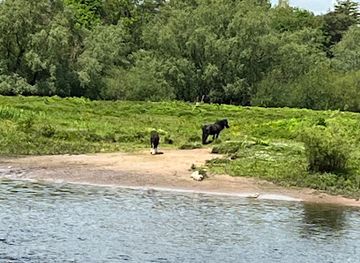 ireland/county-limerick/attraction/mill-road-fairy-garden