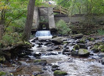 pennsylvania/reading/attraction/nolde-forest-sawmill