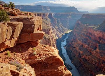 arizona/grand-canyon/attraction/kaibab-national-forest