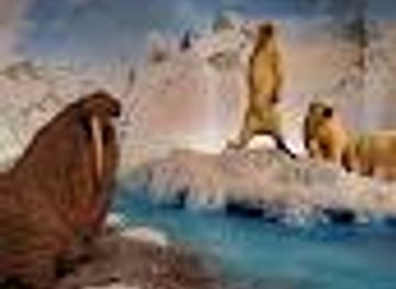 kansas/salina/attraction/the-museum-at-rolling-hills-zoo