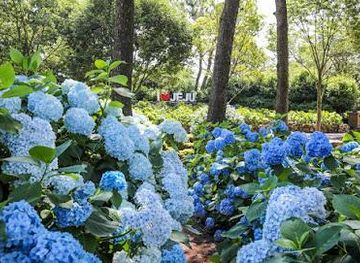 south-korea/jeju-city/attraction/hueree-nature-life-park