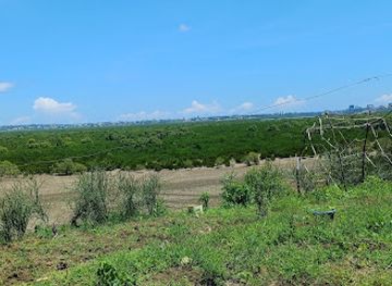 kenya/coastal-region/attraction/ganahola-creek