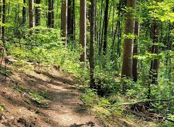 wisconsin/ice-age-trail/attraction/ice-age-trail-east-lake-segment