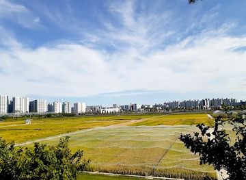 south-korea/hoseo-region/attraction/seohocheon