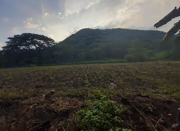 nicaragua/masaya/attraction/green-silent-forest