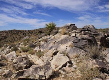 california/joshua-tree-national-park/attraction/desert-queen-mine