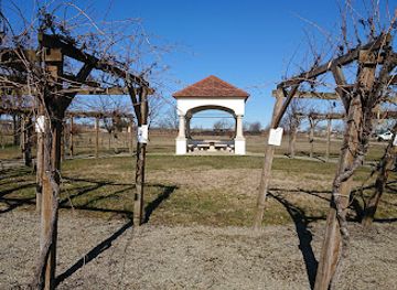 austria/neusiedler-see/attraction/weindenkmal-morbisch