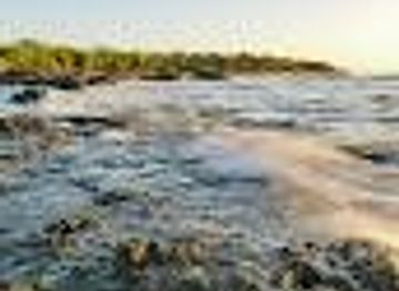 costa-rica/tamarindo/attraction/playa-langosta