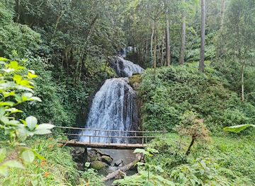 guatemala/rio-dulce/attraction/waterfalls-tatasirire