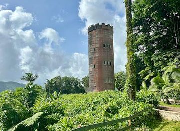 puerto-rico/carolina/attraction/rst-rico-sun-tours-dmc