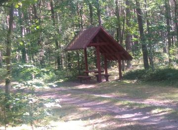 poland/bory-tucholskie/attraction/miejsce-odpoczynku-wiata