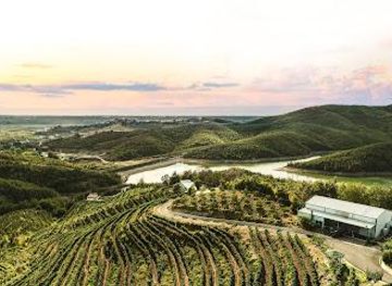Duka Winery and Vineyard