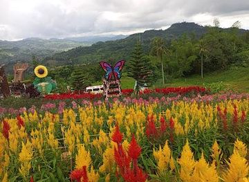 philippines/cebu-city/attraction/sirao-garden-little-amsterdam