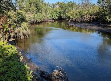 florida/fort-myers/attraction/caloosahatchee-creeks-preserve-west