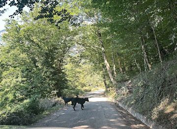 italy/irpinia/attraction/fountain-for-cows