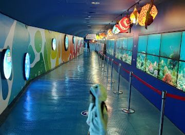 south-korea/mokpo/attraction/mokpo-children-s-sea-science-museum