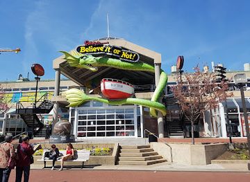 maryland/baltimore/attraction/baltimore-harbor