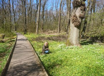 sweden/gothenburg-archipelago/attraction/rya-skog