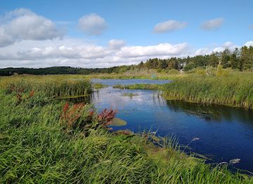 denmark/silkeborg/attraction/trakstien