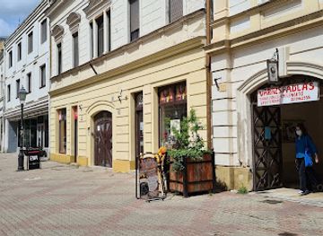 hungary/pecs/attraction/varazspadlas-mackomuzeum-mackok-bohocok-maszkok