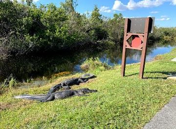 florida/homestead/attraction/shark-valley-visitor-center