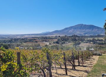 south-africa/cape-winelands/attraction/cape-town-fynbos-experience