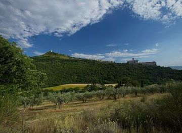 italy/assisi/attraction/bosco-di-san-francesco