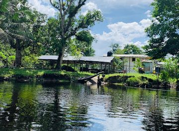 guyana/berbice-river/attraction/speightland-creek