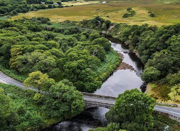 ireland/county-mayo/attraction/errif-woods