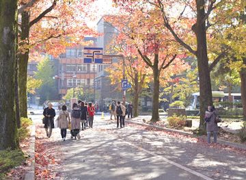 japan/kanazawa/attraction/amerika-kaede-dori