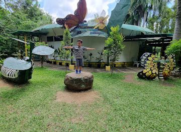 philippines/davao-city/attraction/davao-butterfly-garden