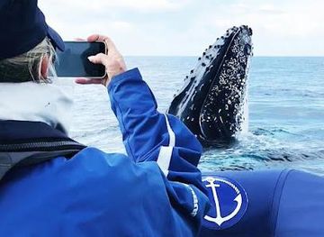 australia/byron-bay/attraction/out-of-the-blue-adventures