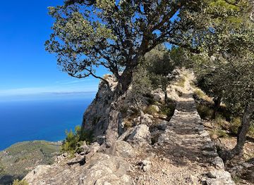 spain/serra-de-tramuntana/attraction/cami-de-s-arxiduc