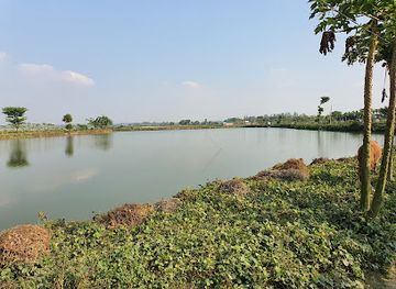 bangladesh/lawachara-national-park/attraction/hail-hawr