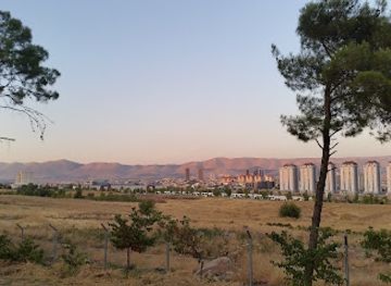 iraq/sulaymaniyah-governorate/attraction/flamingo-park