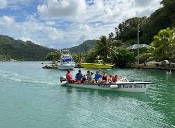 french-polynesia/huahine/attraction/huahine-pearl-farm