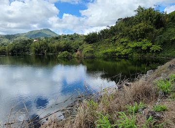 puerto-rico/central-mountain-range/attraction/lago-garzas