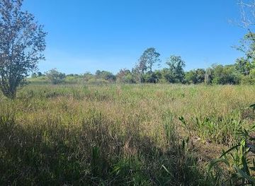 florida/fort-myers/attraction/crew-marsh-trails