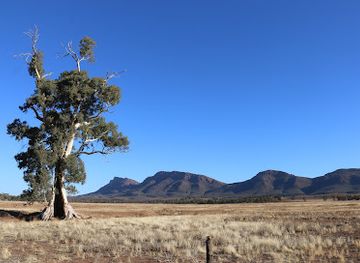 australia/flinders-ranges/attraction/cazneaux-tree