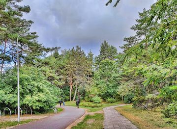 lithuania/palanga-beach/attraction/naglis-hill