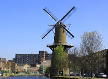 netherlands/rijnmond/attraction/de-palmboom