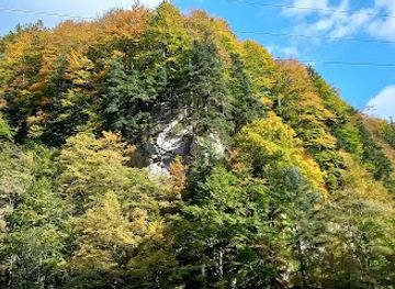 romania/dambovita/attraction/cascada-caprioara