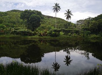 seychelles/anse-boudin/attraction/dan-sours-baie-lazare