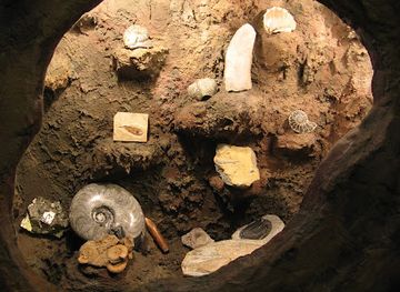 sweden/vasterbotten/attraction/the-prehistoric-world