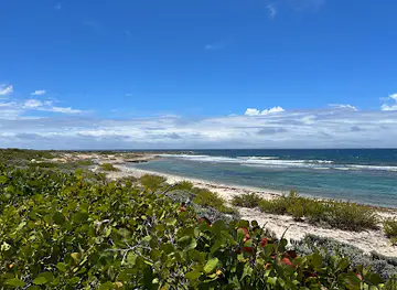 Mimi Bay
