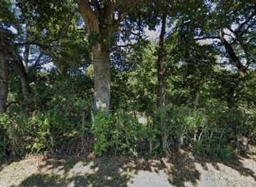 france/pays-de-la-loire/attraction/sequoia-arbre-le-plus-grand-du-maine-et-loire